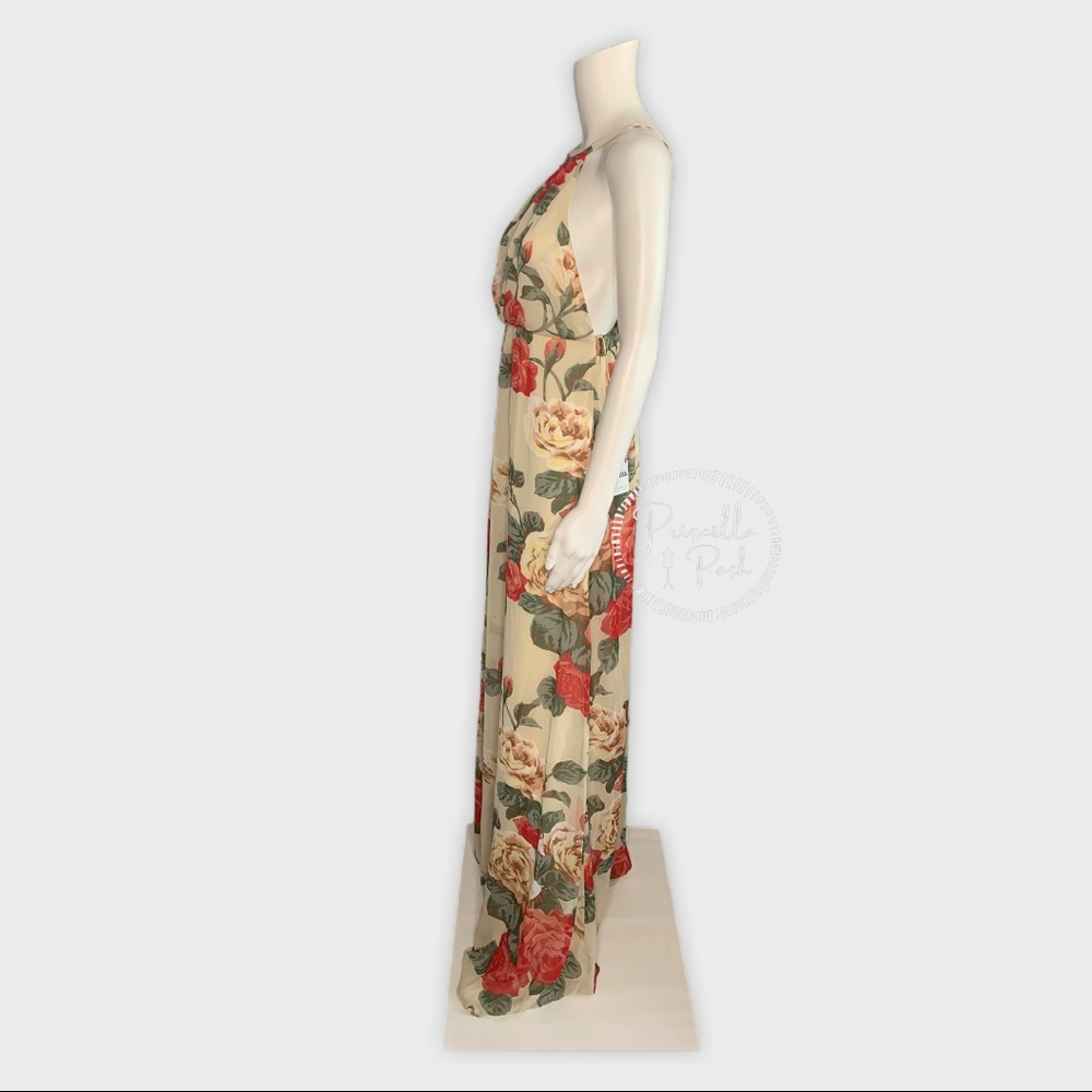 NWT SHOW ME YOUR MUMU Rose Print Amanda Maxi Dress - Picture 8 of 10